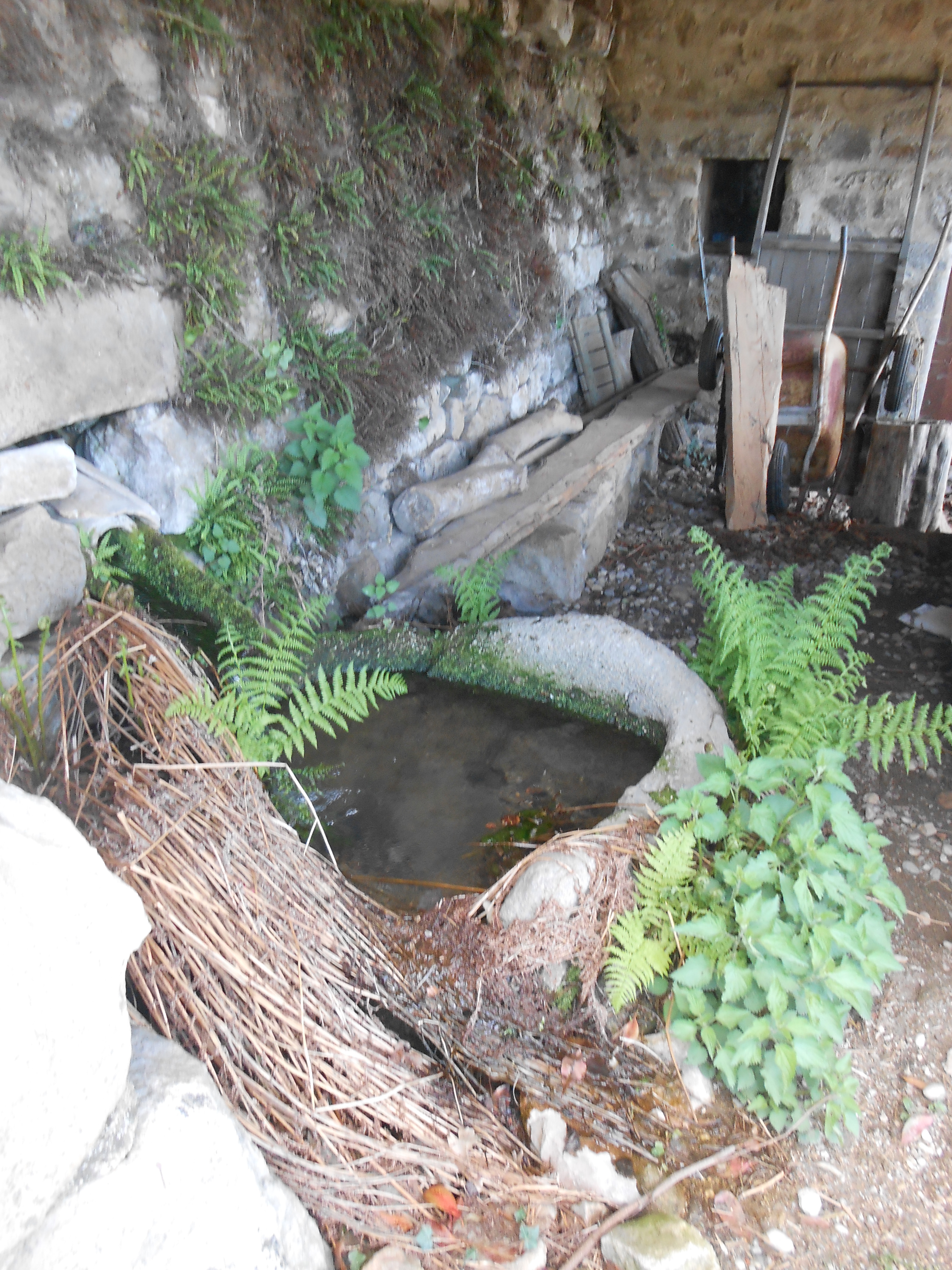 DSCN2561.JPG