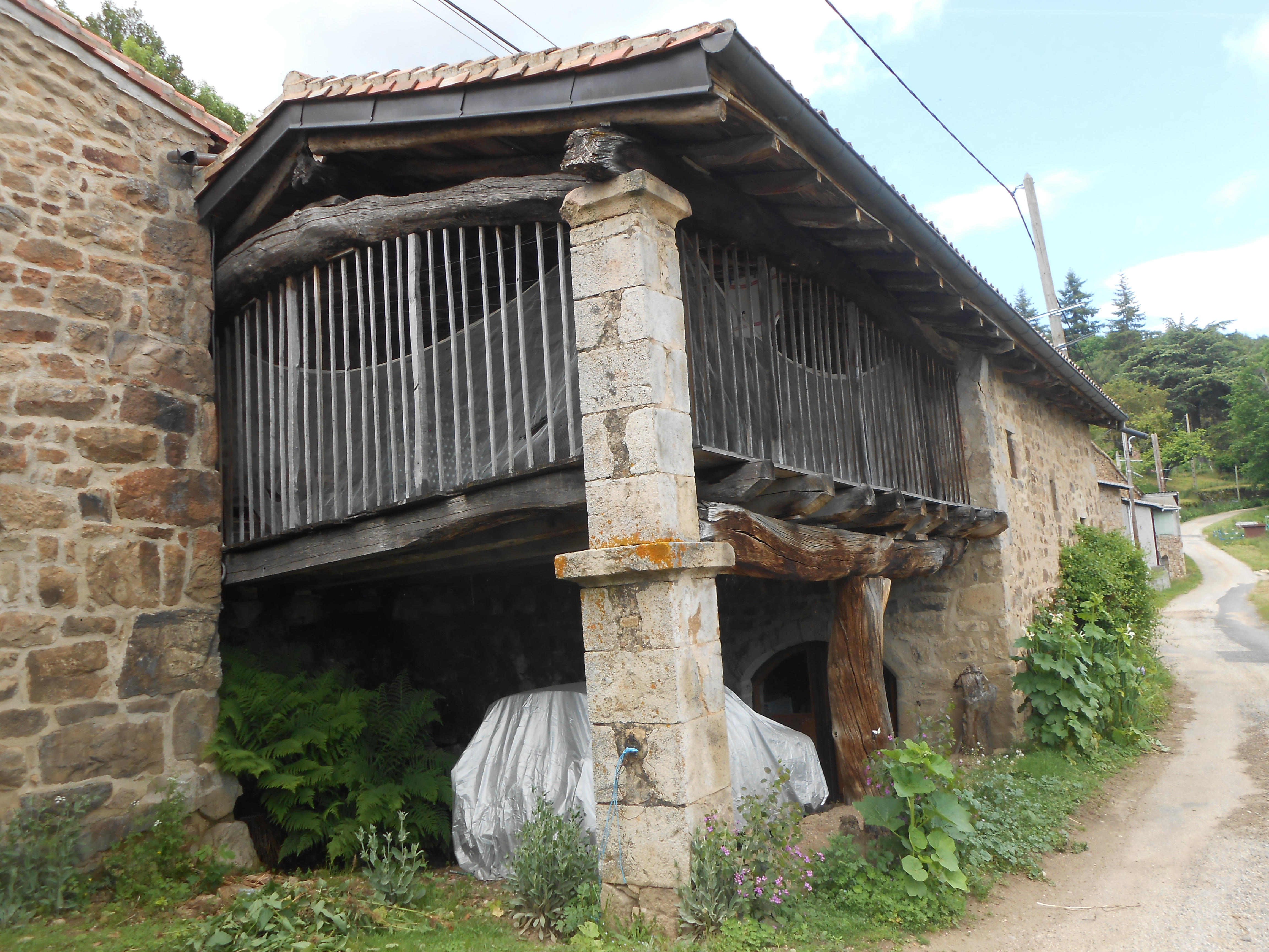 DSCN2592.JPG